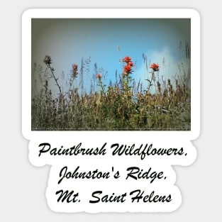 paintbrush wildflowers, Johnston's Ridge Sticker